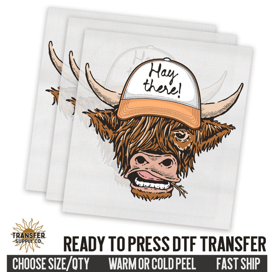 Hay There Highland Cow Trucker Hat Dtf Sheet, Western Ready To Press DTF Transfer, Ready To Press DTF Film Transfer, Western DTF Transfer