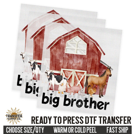 Big Brother Farm Animals, Family Ready To Press DTF Transfer, Dtf Transfer Print, Printed Dtf Transfer, Transfer Ready To Press