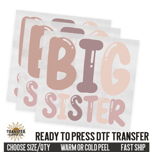 Big Sister Sibling, Family Ready To Press DTF Transfer, Dtf Transfer Print, Printed Dtf Transfer, Transfer Ready To Press