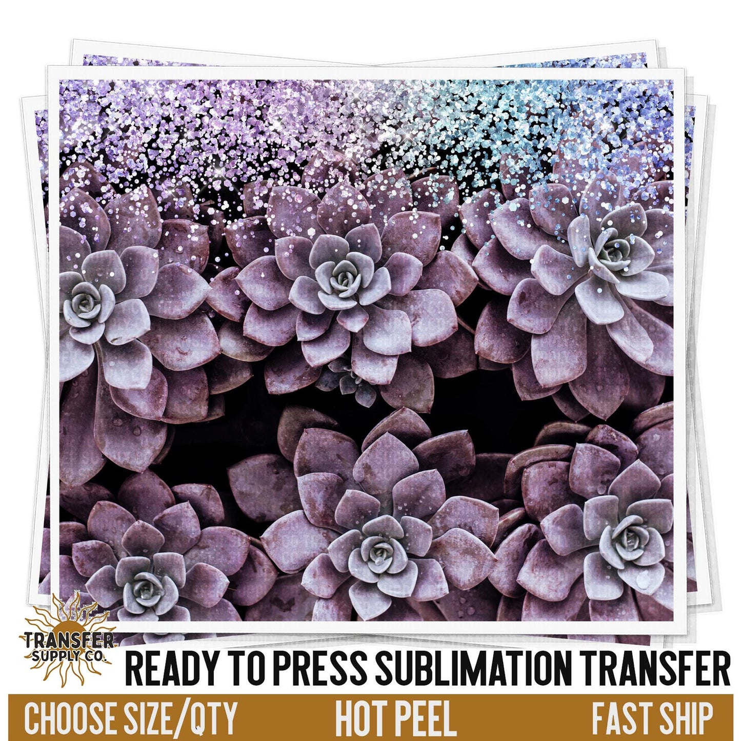 Colorful Succulents Sublimation Transfer | Sublimation Tumbler Wraps, Sublimation Tumbler Transfers, Ready to Press Sublimation Transfers