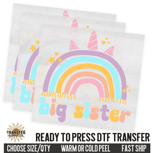 Big Sister Sibling, Family Ready To Press DTF Transfer, Dtf Transfer Print, Printed Dtf Transfer, Transfer Ready To Press