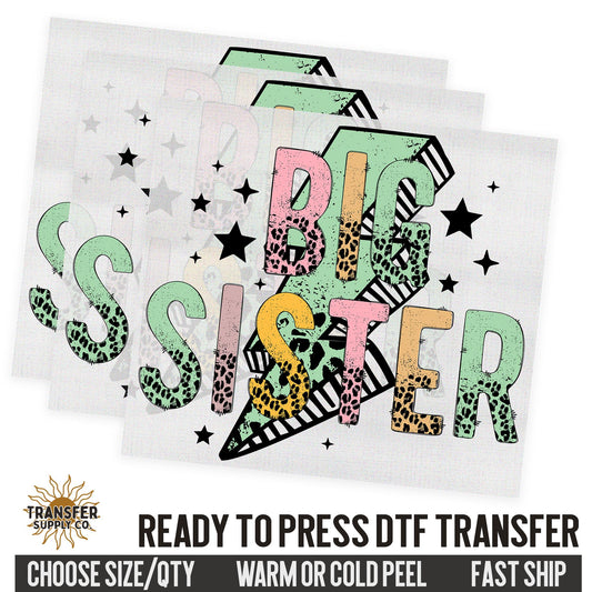 Big Sister Sibling, Family Ready To Press DTF Transfer, Dtf Transfer Print, Printed Dtf Transfer, Transfer Ready To Press