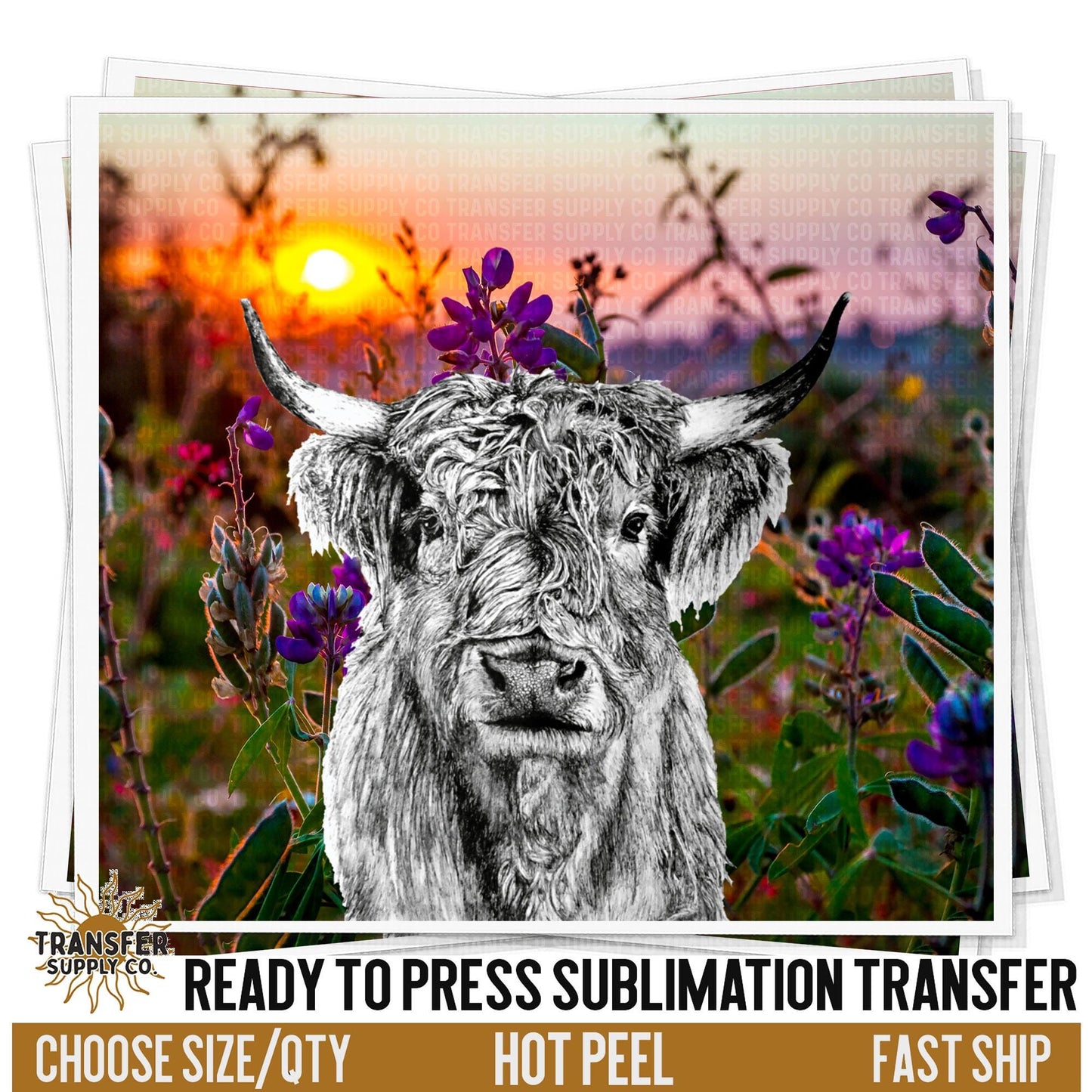 Highland Cow Sublimation Transfer | Sublimation Tumbler Wrap, Sublimation Tumbler Transfers, Ready to Press Sublimation